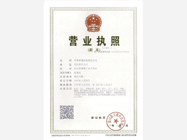 Business License