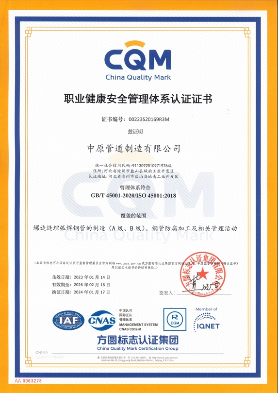 45001 Occupation Health Safety Management System Certificate (Chinese)